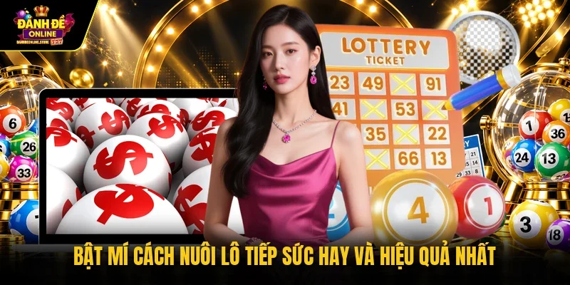 Bật mí cách nuôi lô tiếp sức hay và hiệu quả nhất