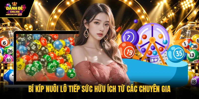 Bí kíp Nuôi lô tiếp sức hữu ích từ các chuyên gia