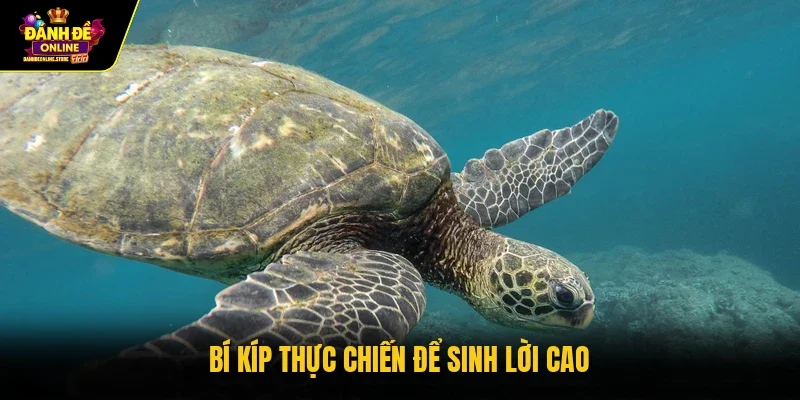 Bí kíp thực chiến để sinh lời cao