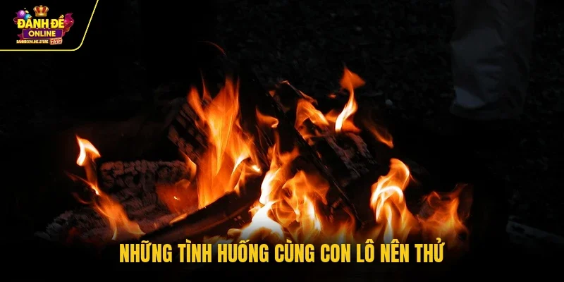 Những tình huống cùng con lô nên thử