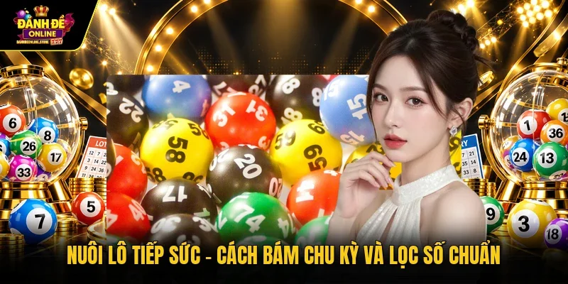 Nuôi lô tiếp sức