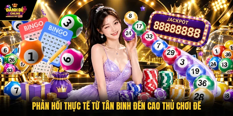 Phản hồi thực tế từ tân binh đến cao thủ chơi đề